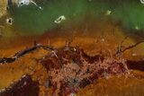 Polished Green Chrysoprase Slab - Western Australia #364239-1